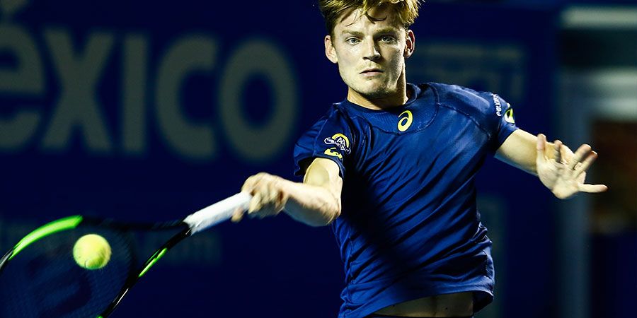 Goffin 27 feb Goffin 27 feb
